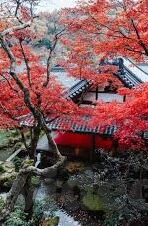 av免费观看日韩-探索日韩影视文化的魅力，AV免费观看的多元视角