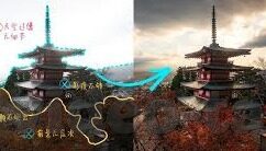 大象天天视频wwe-探索大象天天视频与WWE的奇妙融合，娱乐与力量的双重盛宴