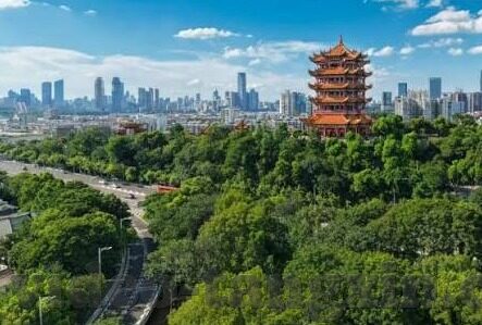 麻豆av网站大全-麻豆，网络世界的虚拟乐园探索
