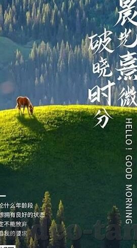 麻豆传媒app-揭开真相，麻豆传媒App的真相与风险认知