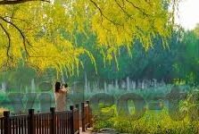 丝瓜视频色成人-丝瓜视频，网络视频的多元化与内容质量探讨