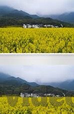 糖心vlog成人安卓-互联网信息应保持纯净，正确对待成人内容与隐秘平台