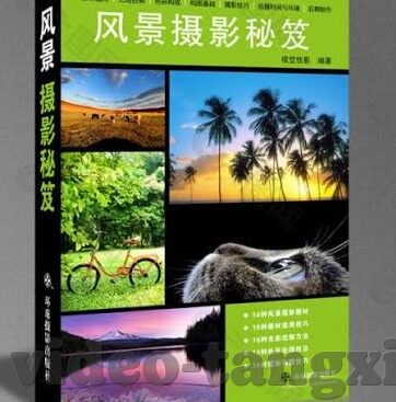 中文字幕下载-探索中文字幕下载的多样性与便利性